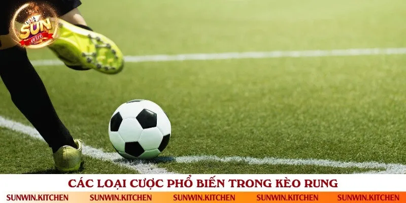 Những loại cược rung hấp dẫn nên trải nghiệm