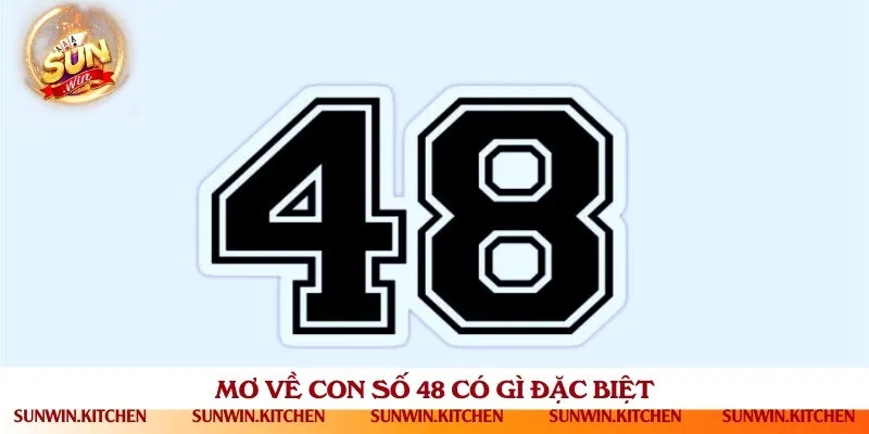 Ý nghĩa của giấc mơ đề về 48